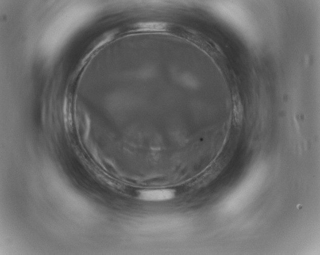 X0000075861487200610151622