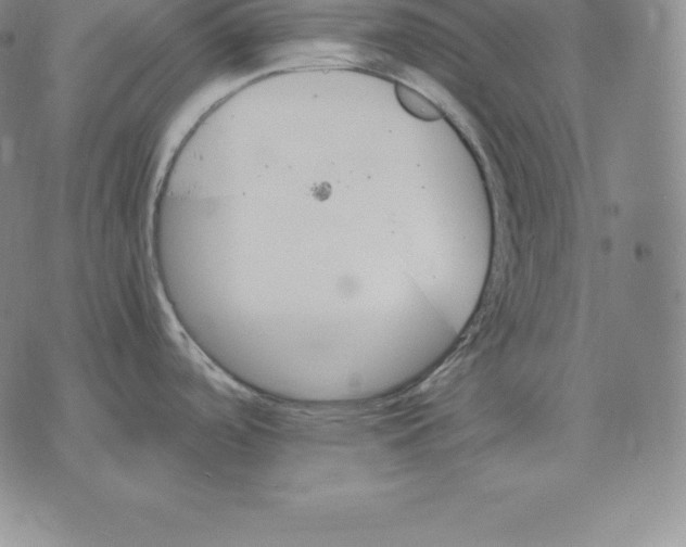 X0000075861488200610151622