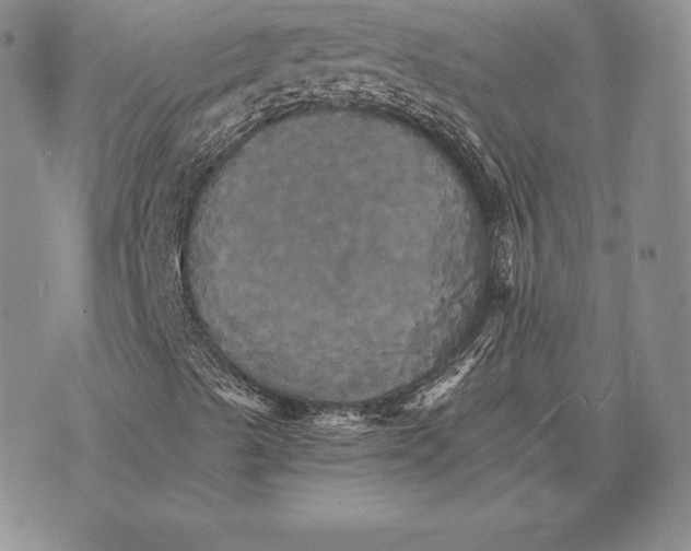 X0000075861489200610151622