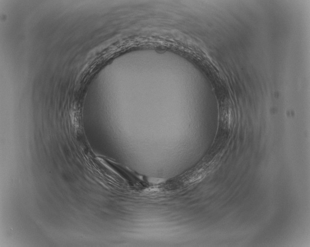 X0000075861490200610151622