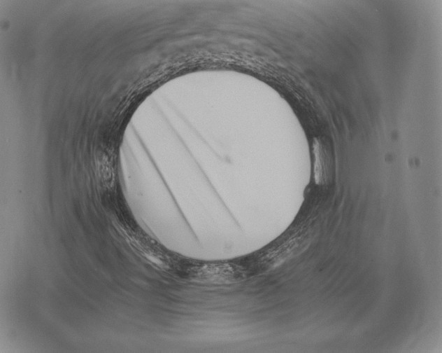 X0000075861491200610151622