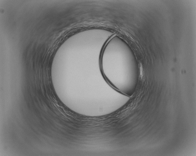 X0000075861492200610151622