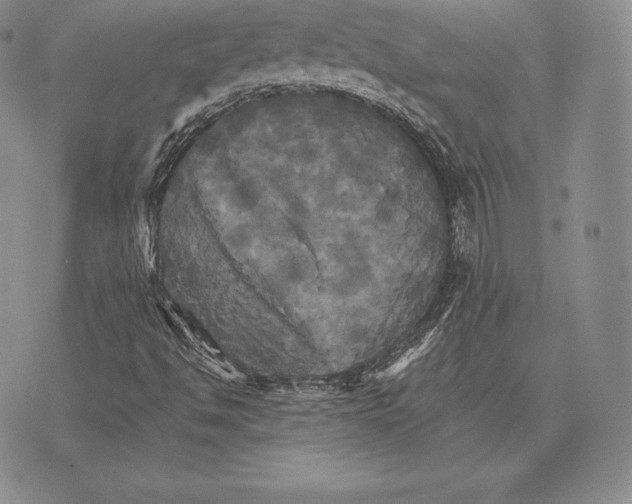 X0000075861494200610151622