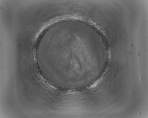 X0000075861496200610151622