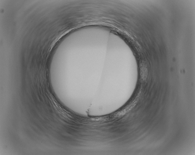 X0000075861497200610151622