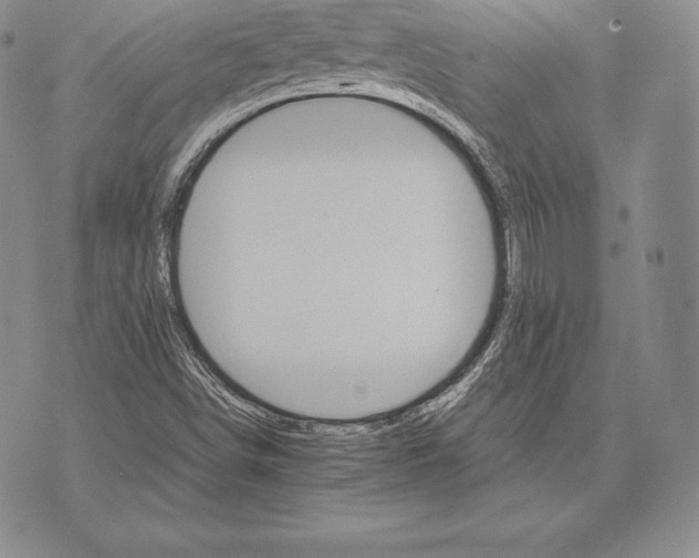 X0000075861498200610151622