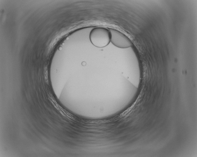 X0000075861499200610151622