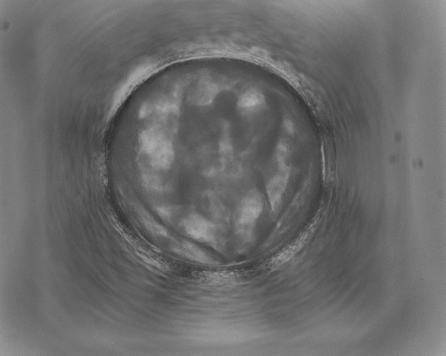 X0000075861501200610151622