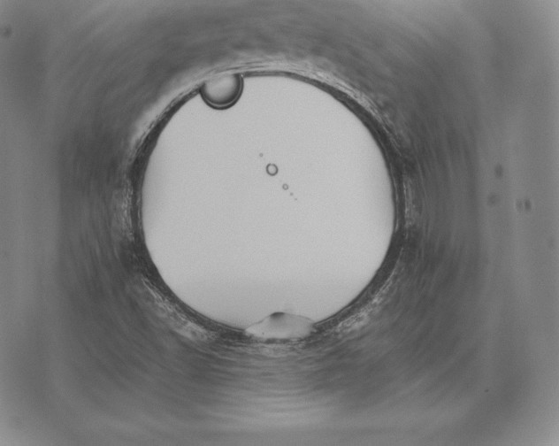 X0000075861502200610151622