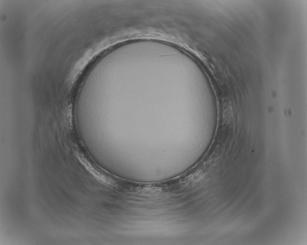 X0000075861503200610151622