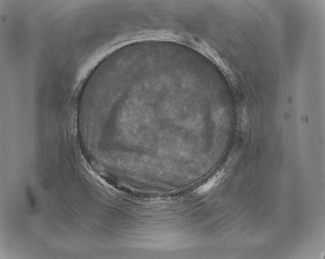 X0000075861504200610151622