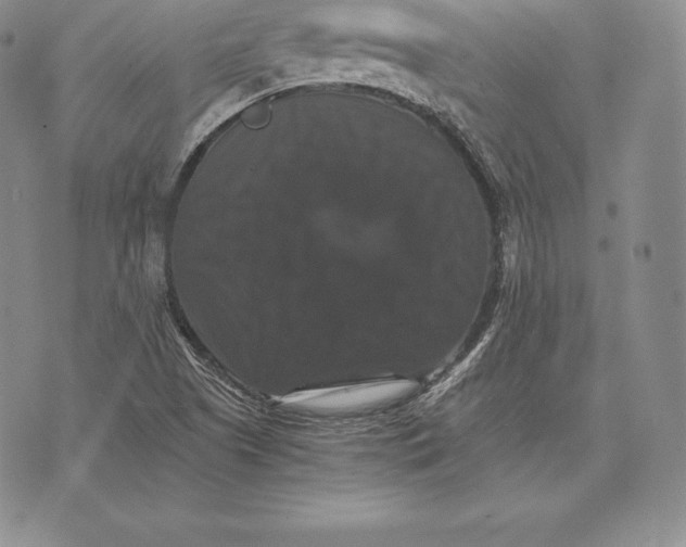 X0000075861505200610151622