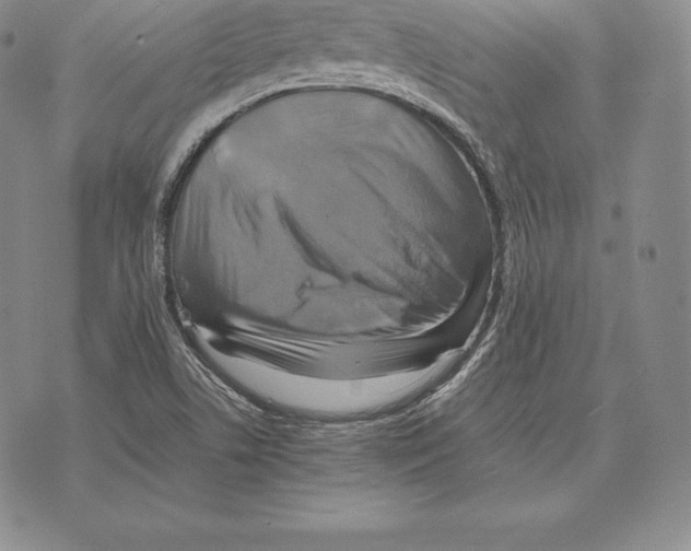 X0000075861506200610151622