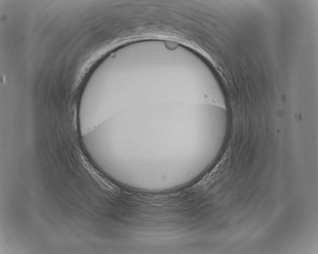 X0000075861507200610151622