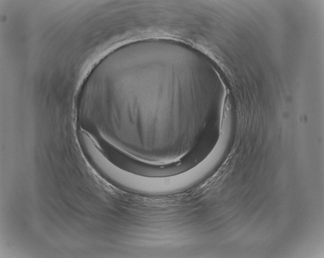 X0000075861508200610151622