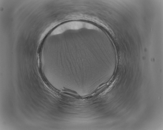 X0000075861509200610151622