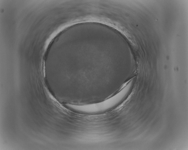 X0000075861510200610151622