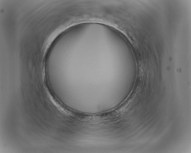 X0000075861511200610151622