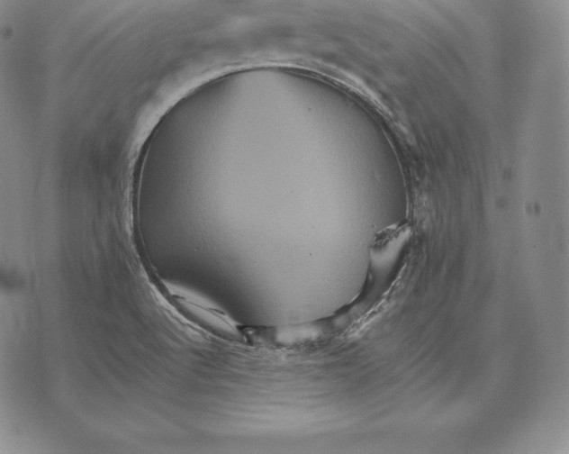 X0000075861512200610151622