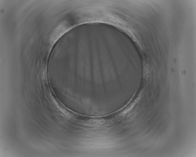 X0000075861513200610151622