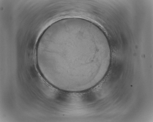 X0000075861514200610151622