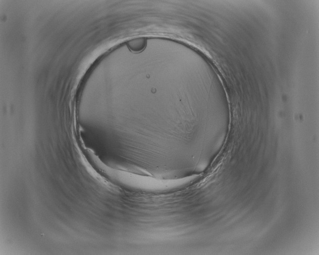 X0000075861515200610151622