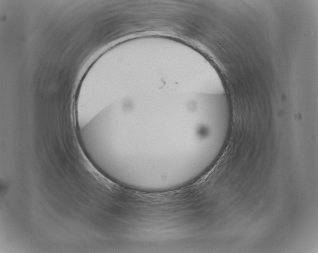 X0000075861516200610151622