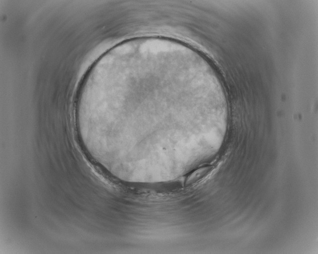 X0000075861517200610151622