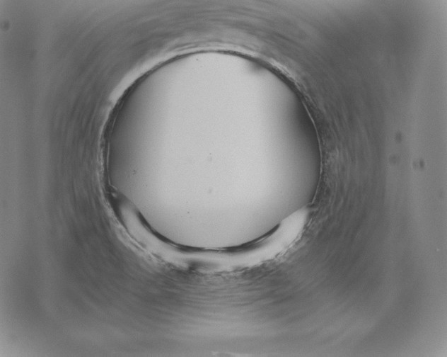 X0000075861518200610151622