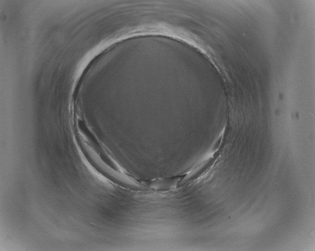 X0000075861519200610151622