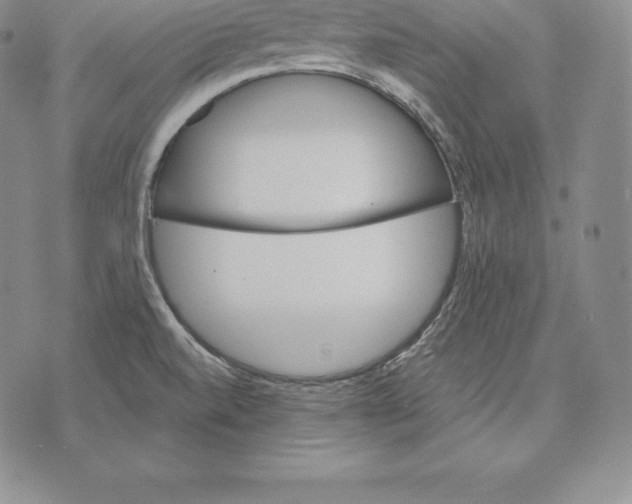 X0000075861520200610151622