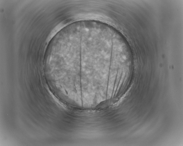 X0000075861521200610151622