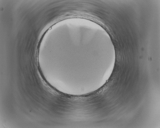 X0000075861522200610151622