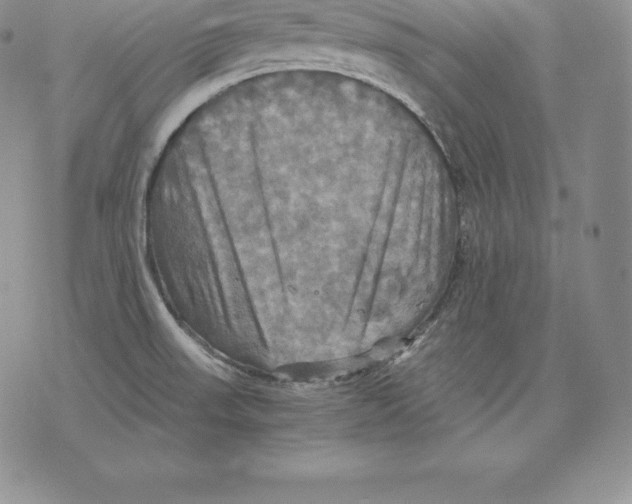 X0000075861523200610151622