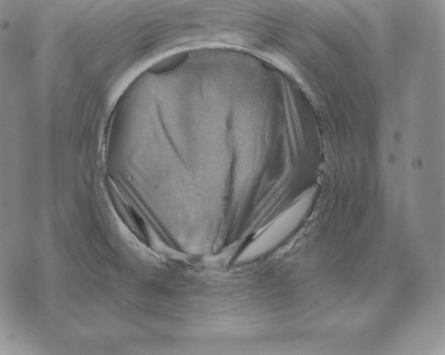 X0000075861524200610151622