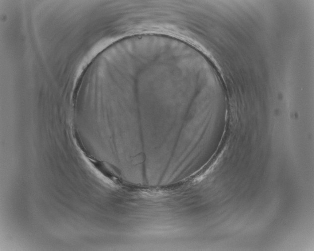 X0000075861525200610151622