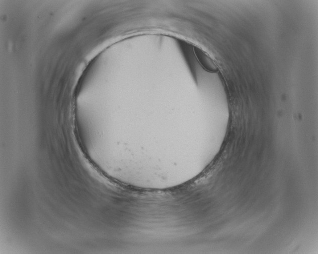 X0000075861526200610151622