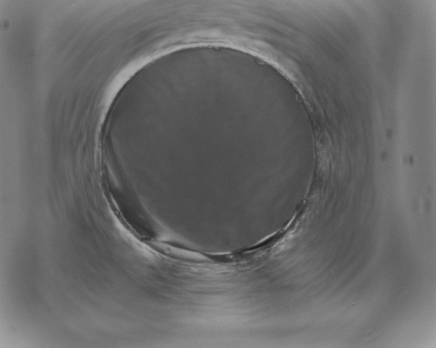 X0000075861527200610151622