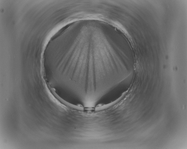 X0000075861528200610151622