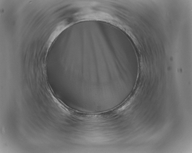 X0000075861529200610151622