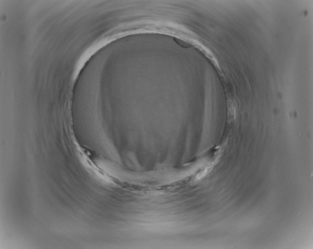 X0000075861530200610151622