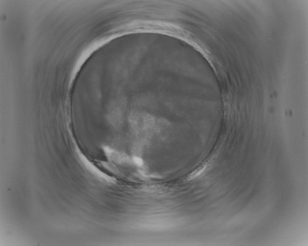 X0000075861531200610151622