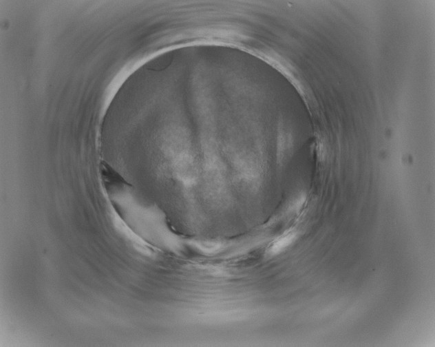 X0000075861532200610151622