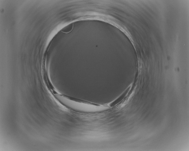 X0000075861533200610151622