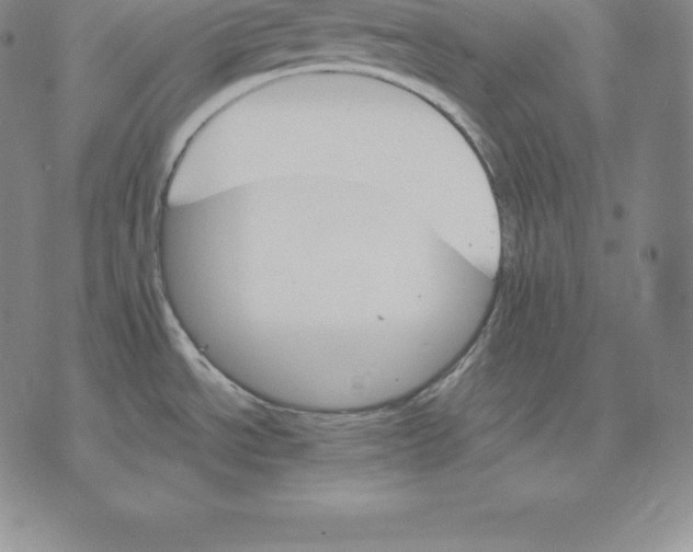 X0000075861534200610151622