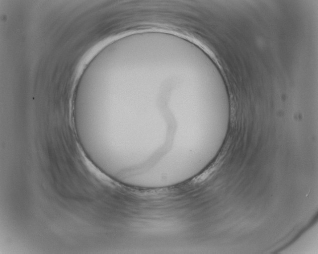 X0000075861535200610151622