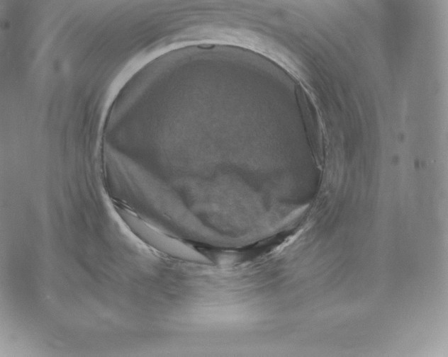 X0000075861536200610151622