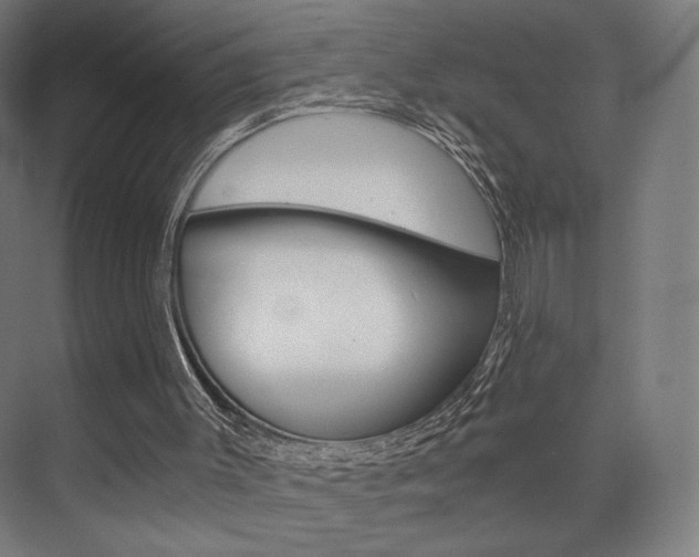 X0000075870003200609150953