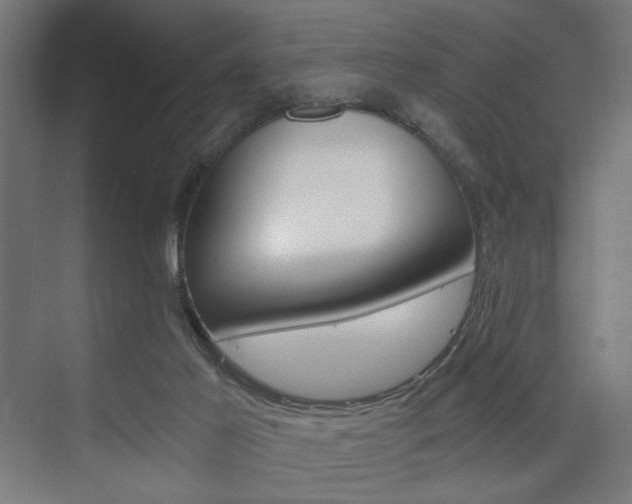 X0000075870021200609150953