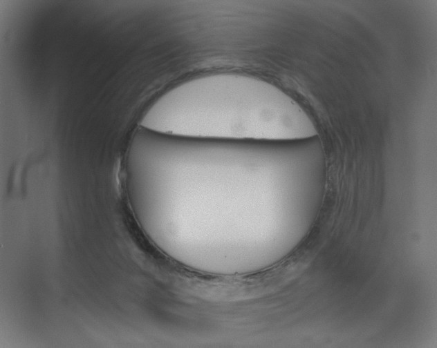 X0000075870024200609150953